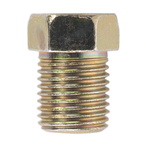 Brake Pipe Nuts 10mm x 1mm Male