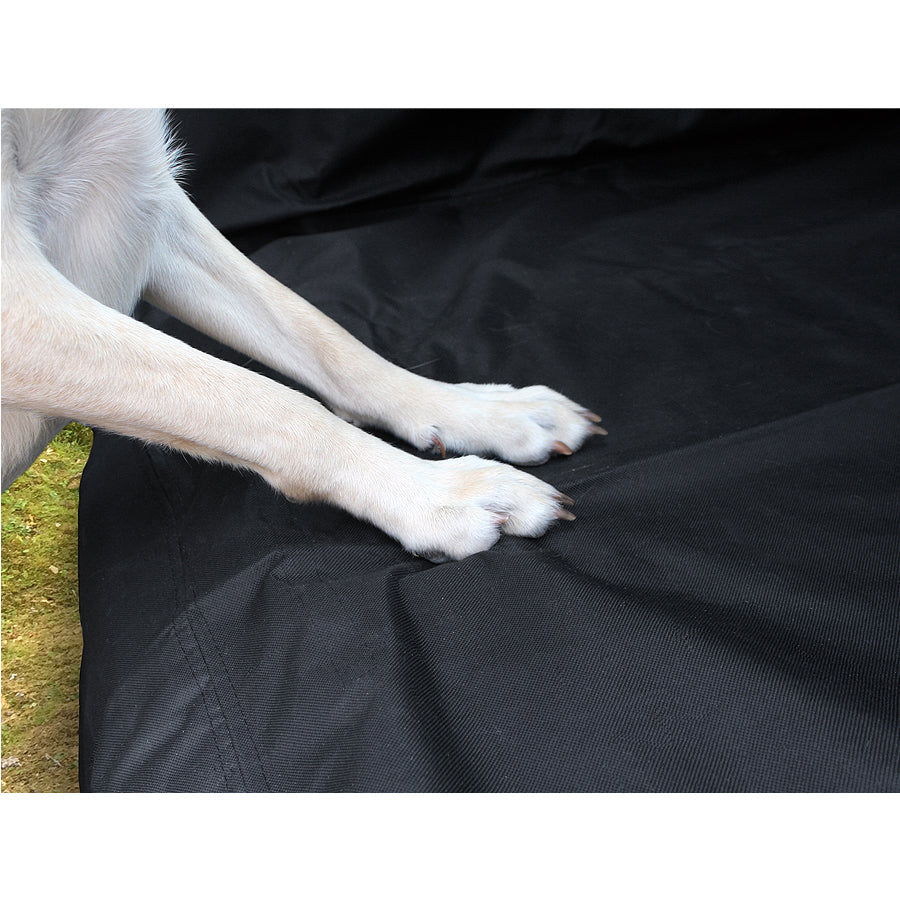 Boot Liner & Bumper Protector