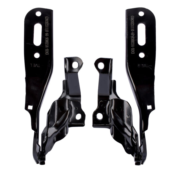 Hood Hinge