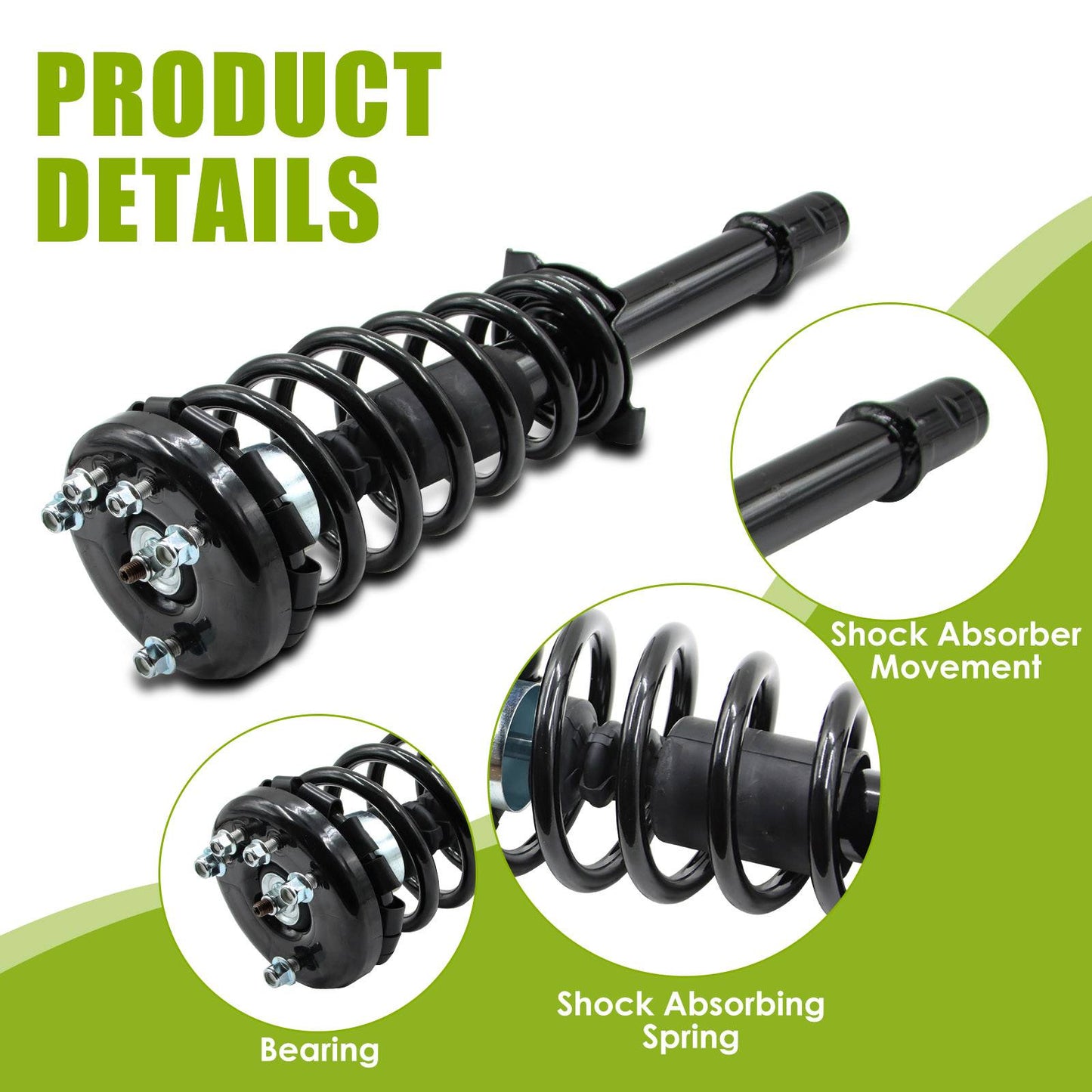 Front Spring Struts Assembly For 1998 - 2002 Honda Accord 1999 - 2003 Acura TL