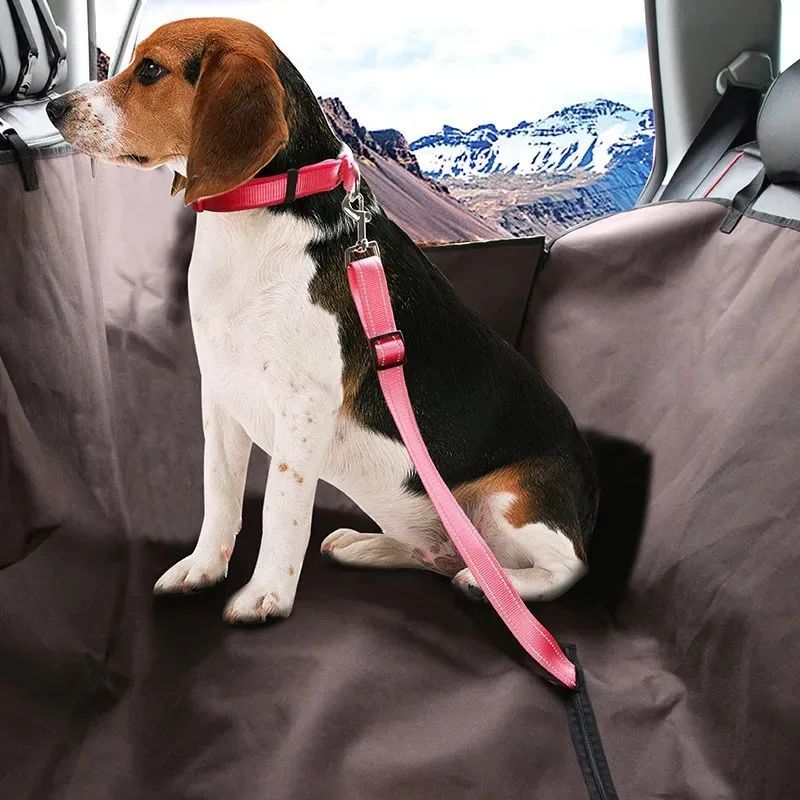 Adjustable dog car seat belt restraint - image 6