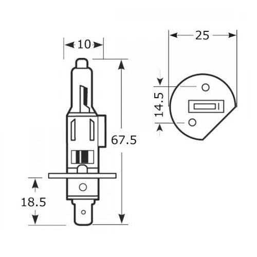 H1 448 Halogen Bulb 12V 55W P14.5s