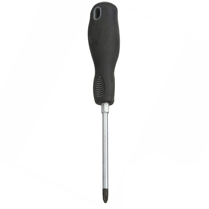 PzDrive Screwdriver Pz2 x 100mm