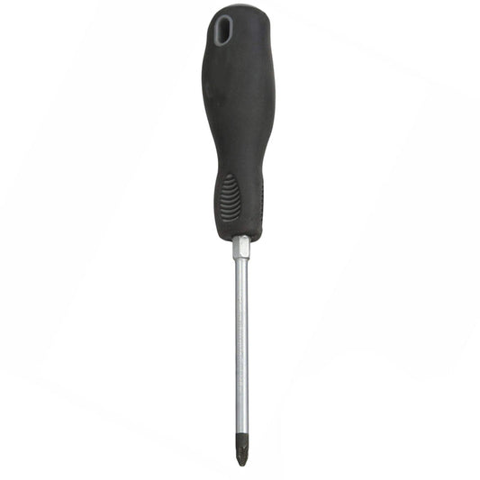 PzDrive Screwdriver Pz2 x 100mm